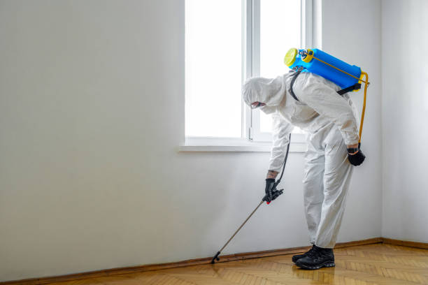 Pest Control for Hotels in Poplar Plains, CT